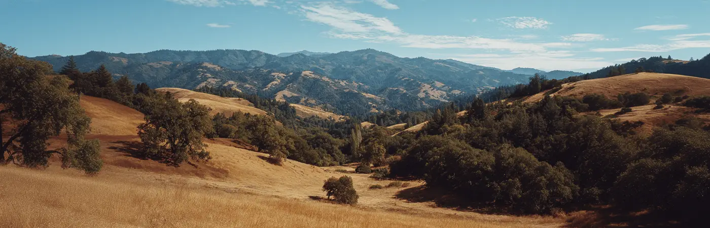 Golden hills and oak trees around La Grange, California